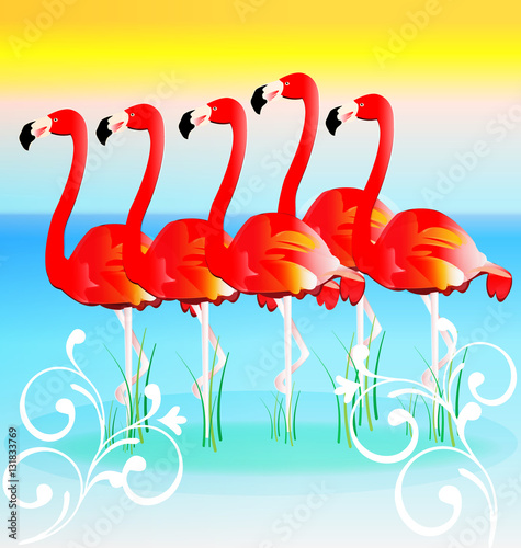 Flamingos in row sunny tropical vector background 