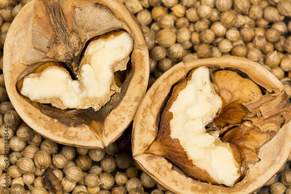 Coriander seeds with halves of walnut Coriander seeds with halves of walnut