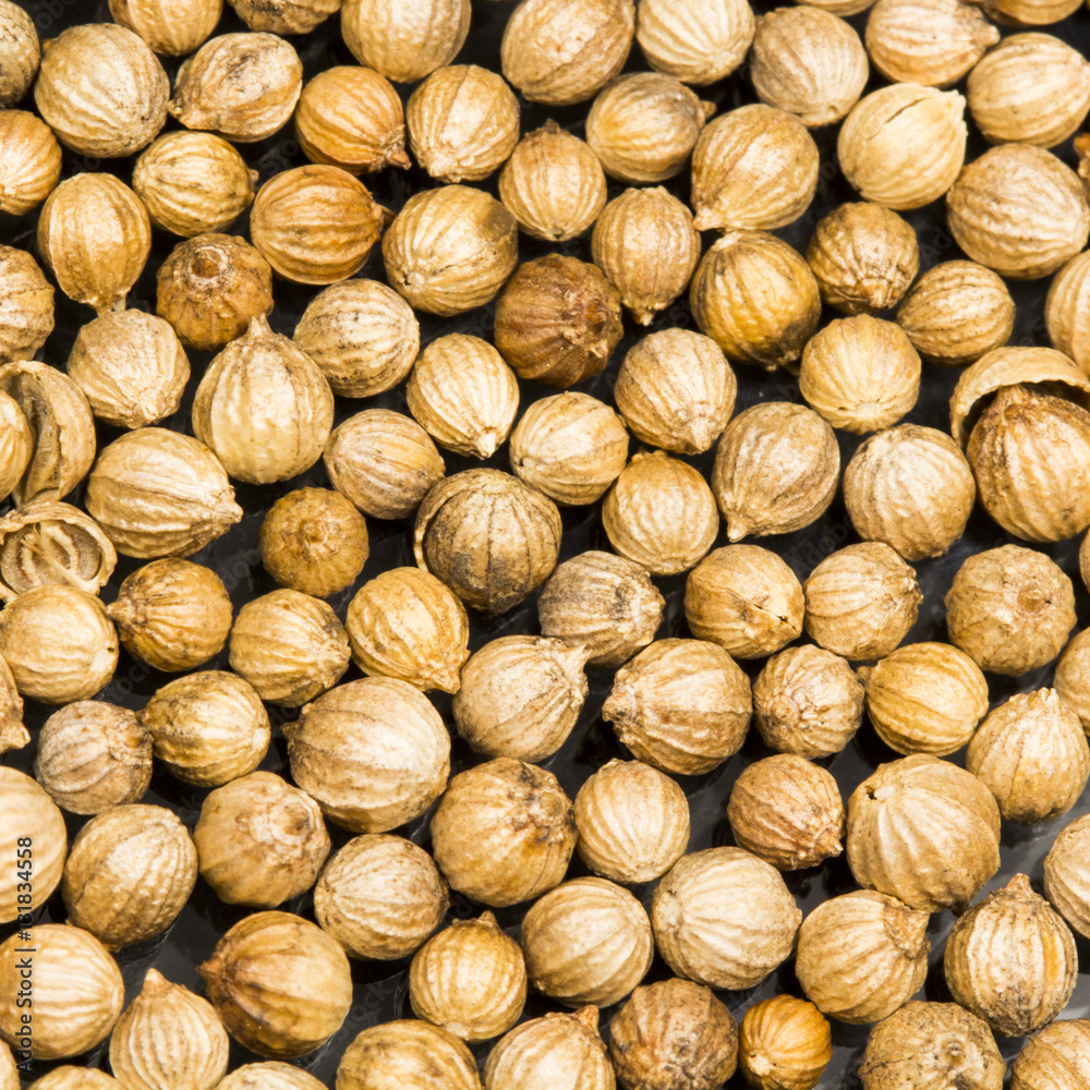 Coriander seeds texture with black background Coriander seeds texture with black background
