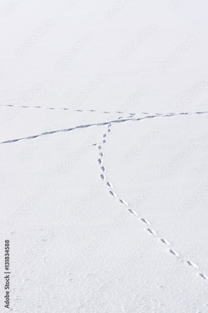Line of man's footprints in the snow Line of man's footprints in the snow
