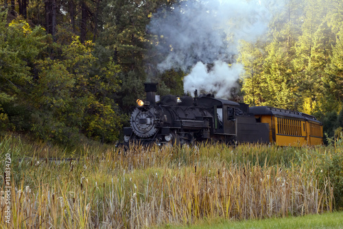 Railroad Train