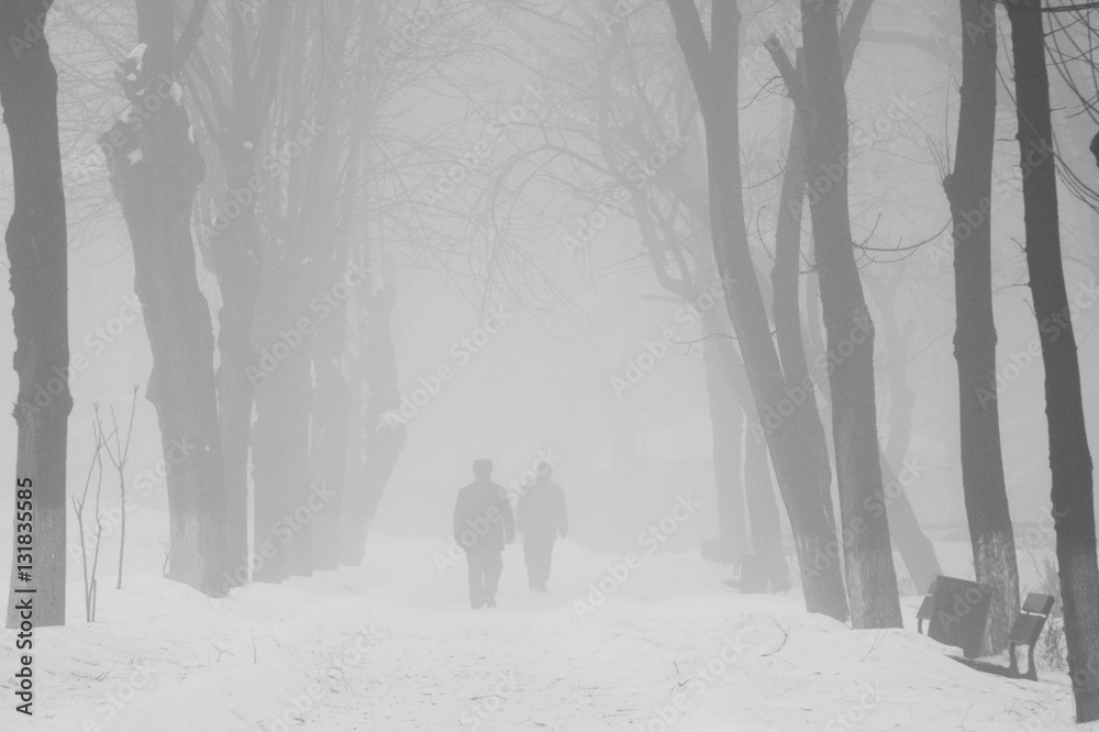 Winter foggy landscape in the park with people passing by