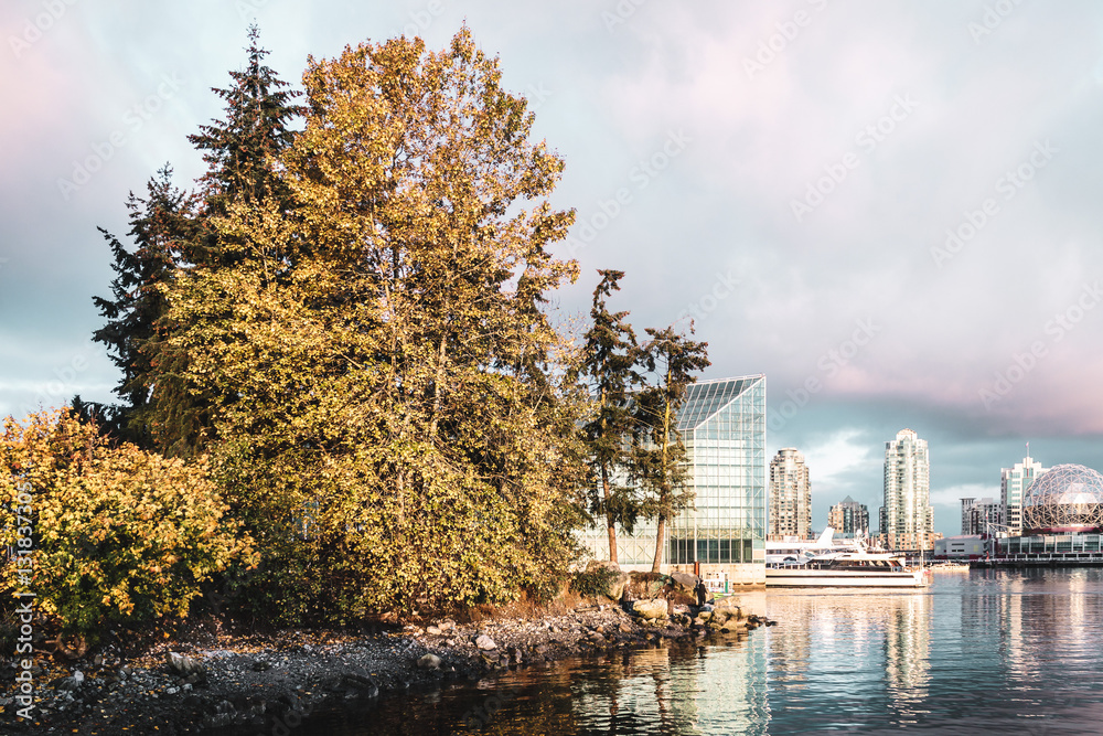 Fototapeta premium False Creek in Vancouver, Canada