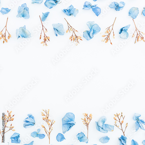 Frame of blue flowers isolated on background. Flat lay. Top view.