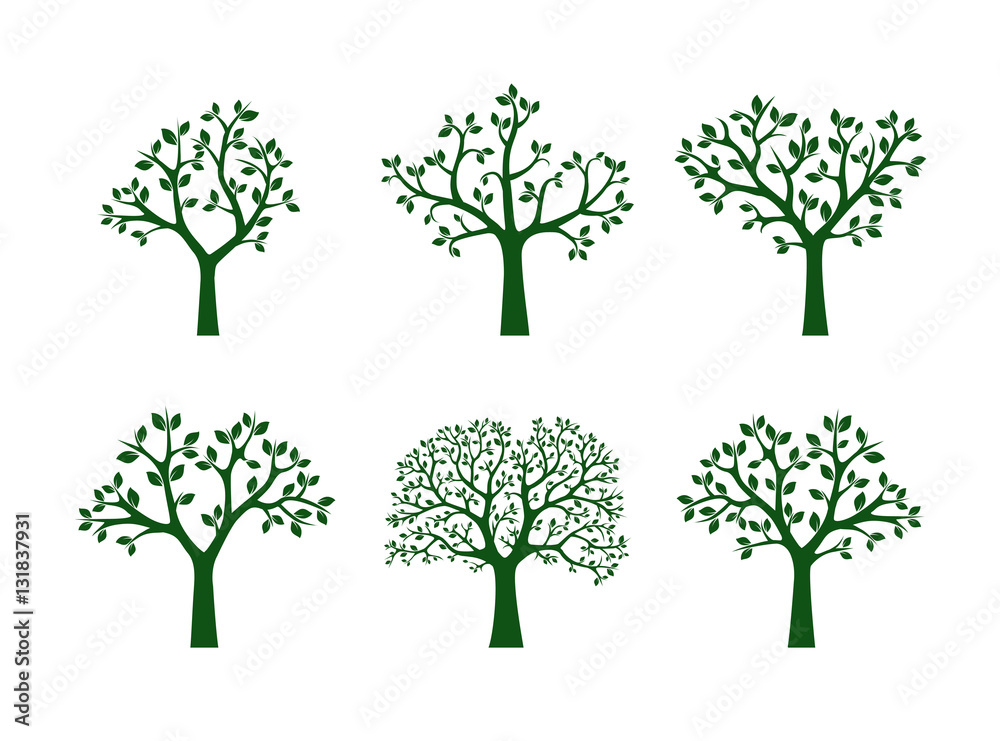 Fototapeta premium Collection of Green Trees. Vector Illustration.