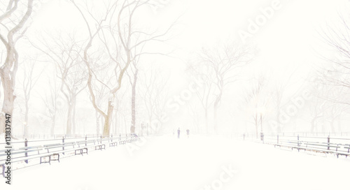 Photography Central Park, New York City
