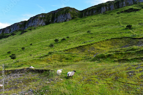 Irland - Dartry Hills im County Leitrim photo