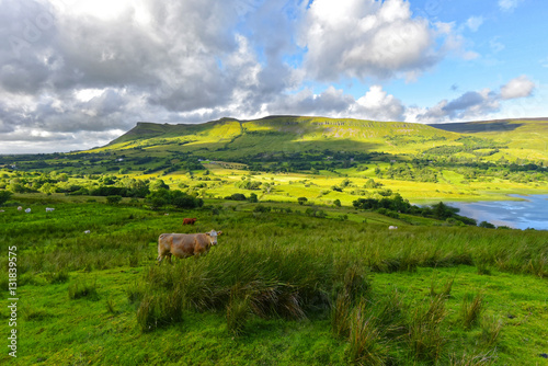Photos Irland - Dartry Hills im County Leitrim
