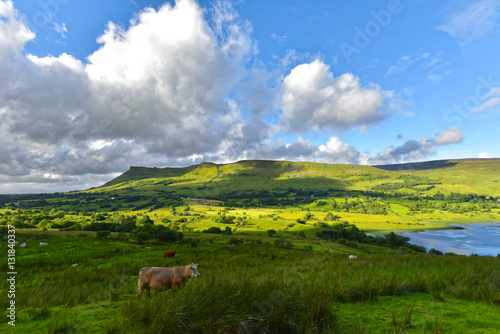 Konstfotografi Irland - Dartry Hills im County Leitrim