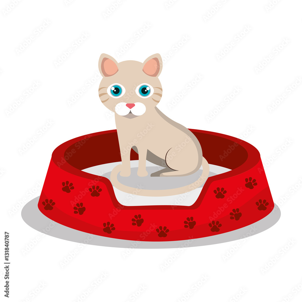 Obraz premium cat pet shop icon vector illustration design