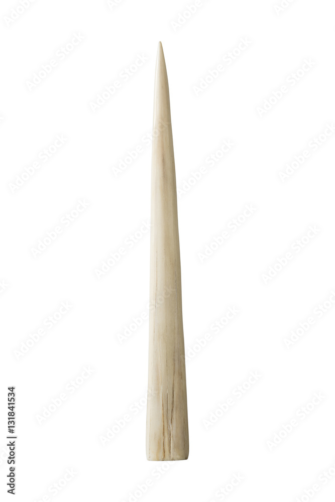 Obraz premium Ivory tusk on white background