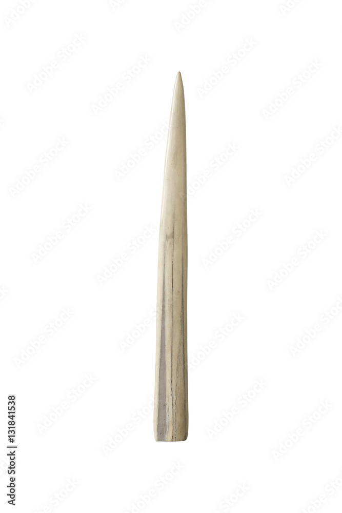 Fototapeta premium Ivory tusk on white background