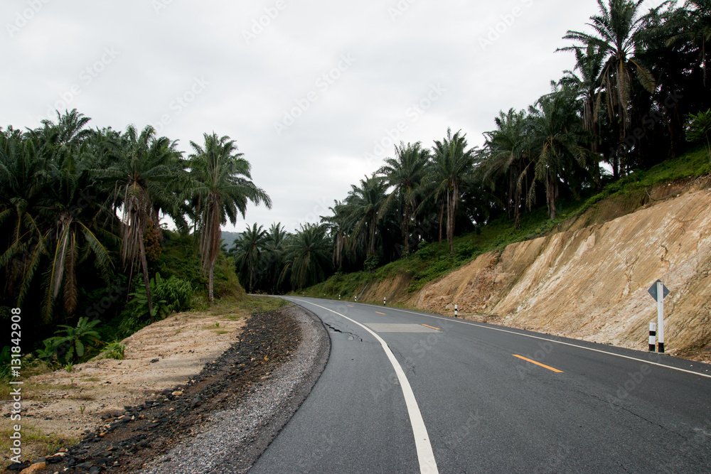 Roads in rural