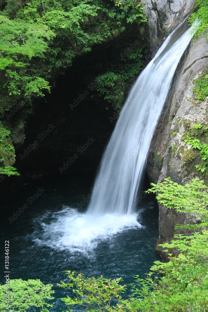 Obraz premium 大釜の滝 徳島県