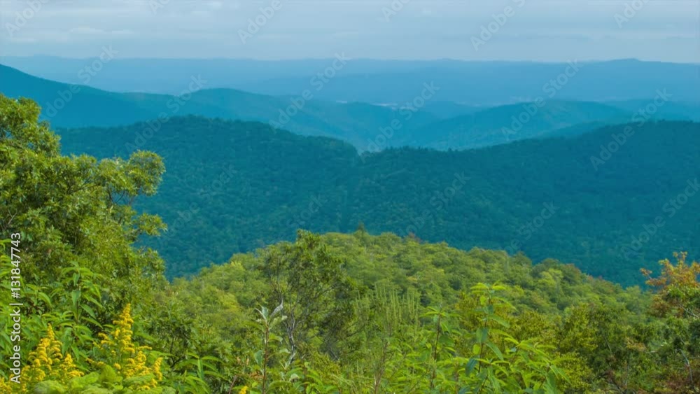 Tilting-up from Lush Green Foliage towards Multiple Layers of the Blue Ridge Mountains near Asheville in the Smoky Mountains of Western North Carolina Tilting-up from Lush Green Foliage towards Multiple Layers of the Blue Ridge Mountains near Asheville in the Smoky Mountains of Western North Carolina