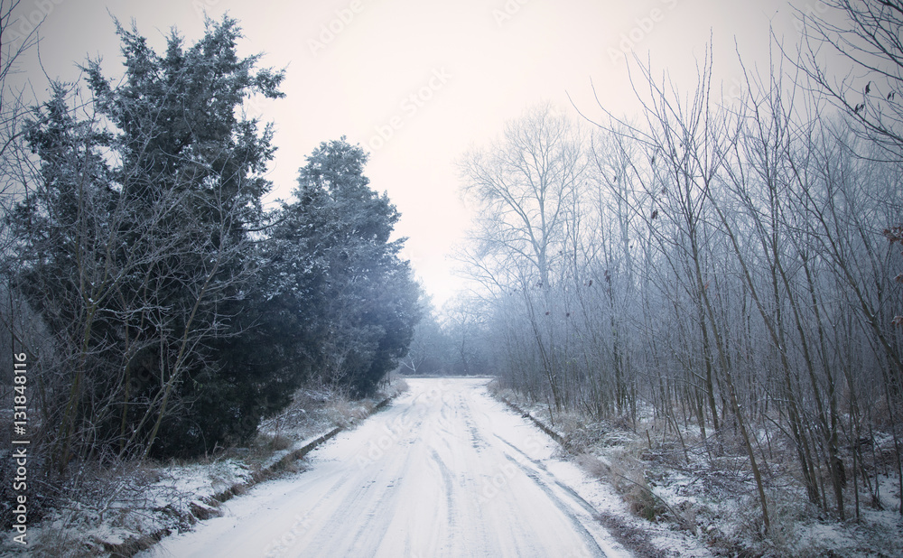 Obraz premium Winter road in the forest