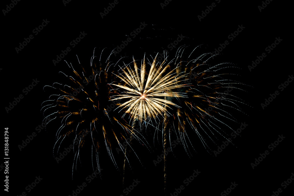 Fototapeta premium Fireworks light up the sky
