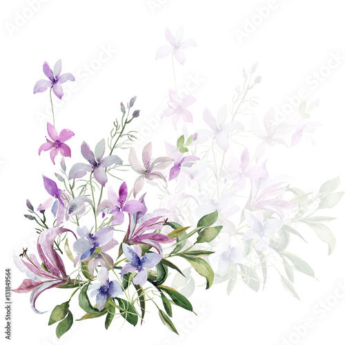 Pattern of wild flowers  image on a colored background 