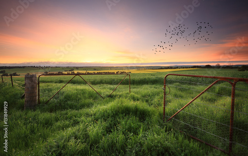 Rusty gates open to wheat and canola crops