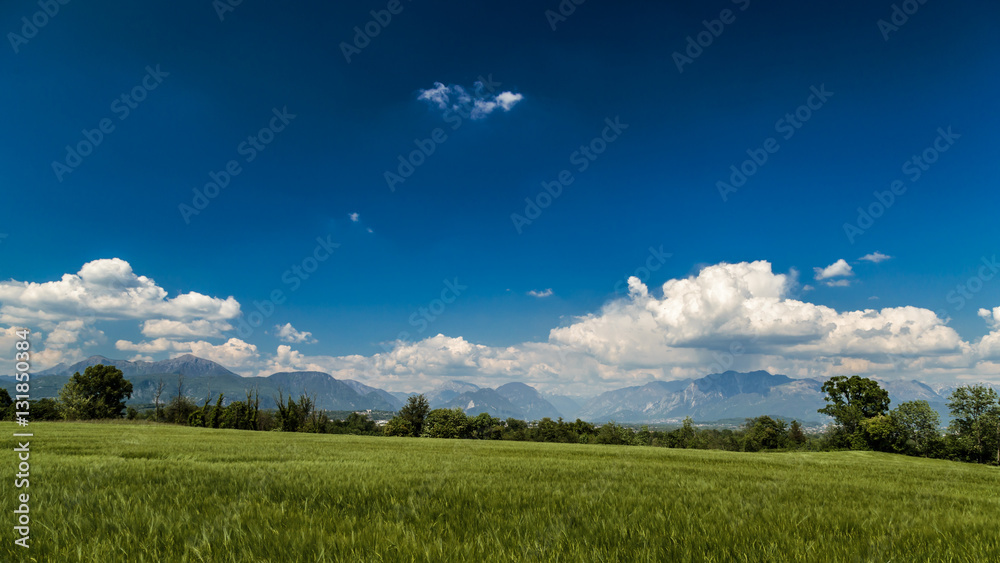 Fototapeta premium Fields of Italy in a spring day