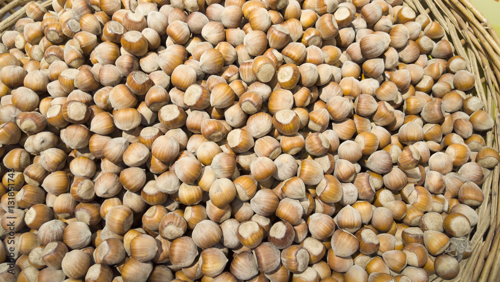 hazelnuts texture details hazelnuts texture details