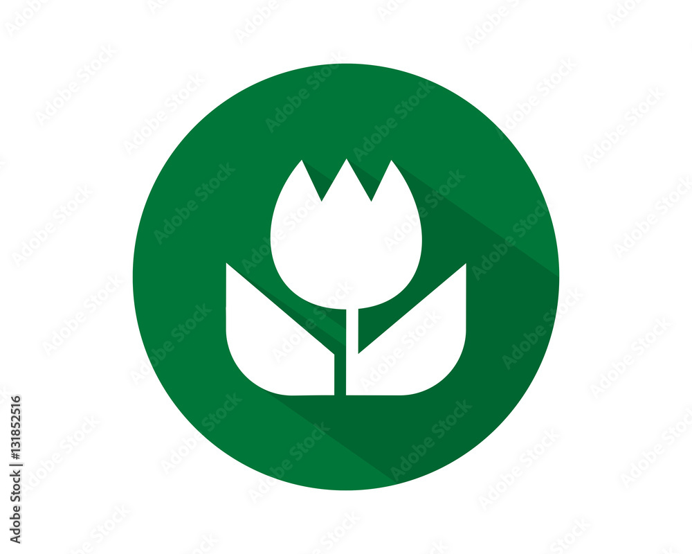tulip icon tulip icon