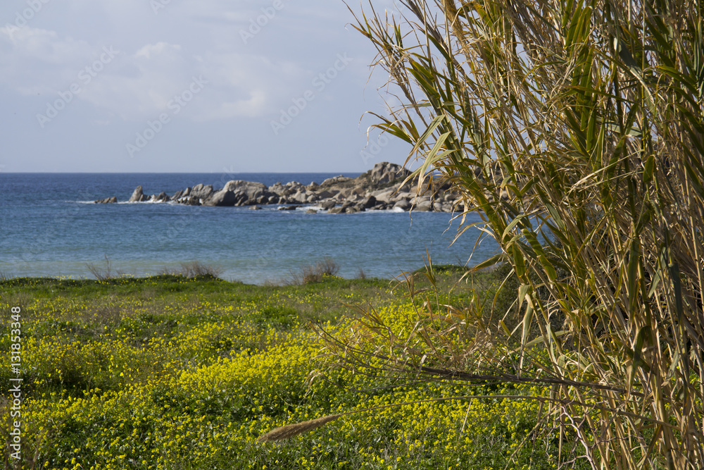 Obraz premium Quartu Sant'Elena: spiaggia di Is Mortorius -Sardegna