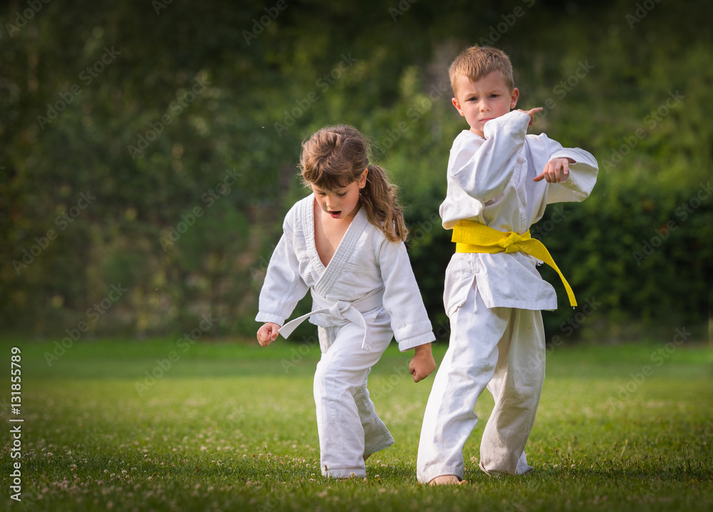 Fototapeta premium Karate martial Arts