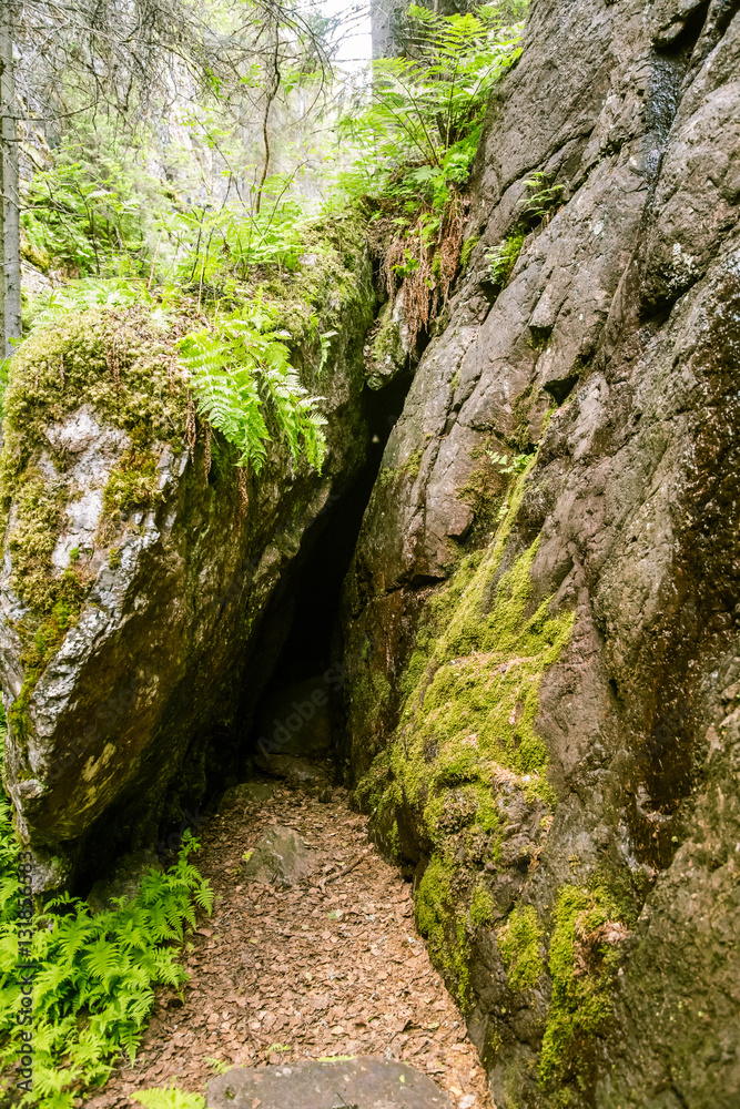 A beautiful rocky forest landscape in Finland A beautiful rocky forest landscape in Finland