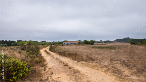 Sand road in Algarve © liamalexcolman