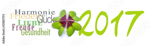 Wünsche zum Neujahr 2107