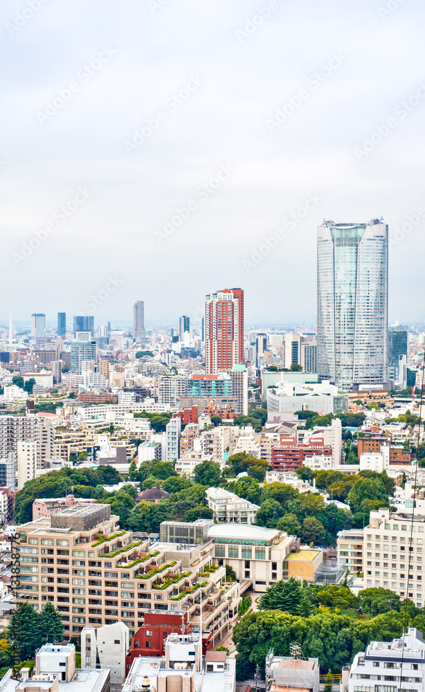 Fototapeta premium Asia Business concept for real estate and corporate construction - vertical modern cityscape building bird eye aerial view from tokyo tower under sunrise and morning blue bright sky in Tokyo, Japan