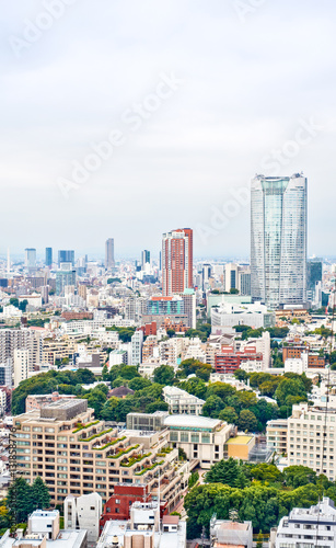 Asia Business concept for real estate and corporate construction - vertical modern cityscape building bird eye aerial view from tokyo tower under sunrise and morning blue bright sky in Tokyo, Japan