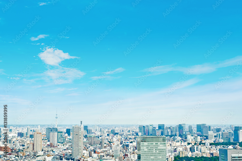 Asia Business concept for real estate and corporate construction - panoramic modern cityscape building bird eye aerial view of skytree under sunrise and morning blue bright sky in Tokyo, Japan