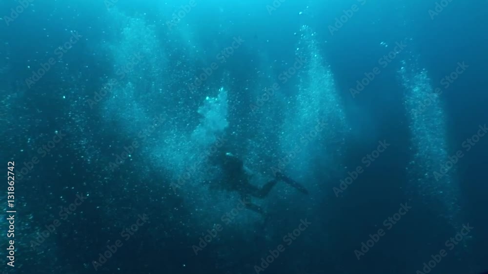 coral life underwater video 1080 coral life underwater video 1080