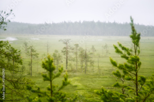 A beautiful Finnish mire landscape from above - dreamy, foggy look