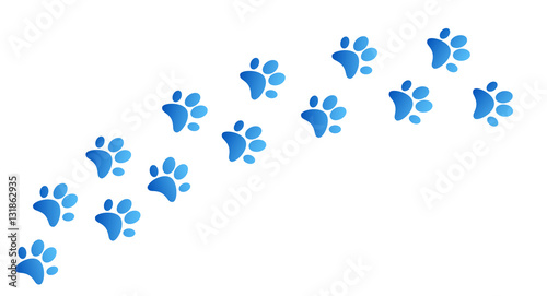 impronte, zampe, animali, orme