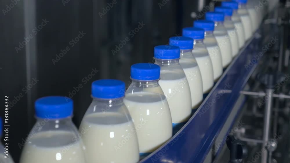 Milk factory. Bottles of milk moving on a industrial conveyor. 4K. Milk factory. Bottles of milk moving on a industrial conveyor. 4K.