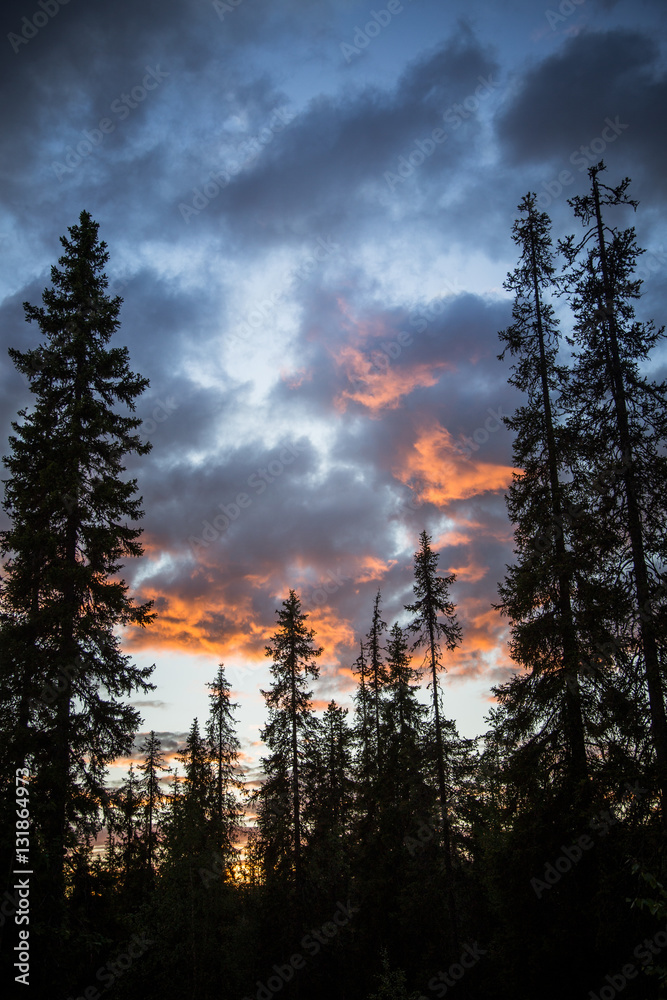 A beautiful sunset in the forest in Finland