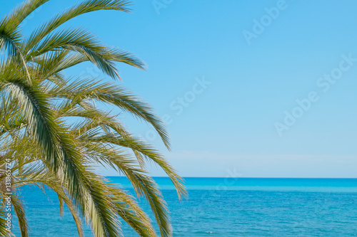 Fototapeta Naklejka Na Ścianę i Meble -  Palm leaves and the Mediterranean Sea