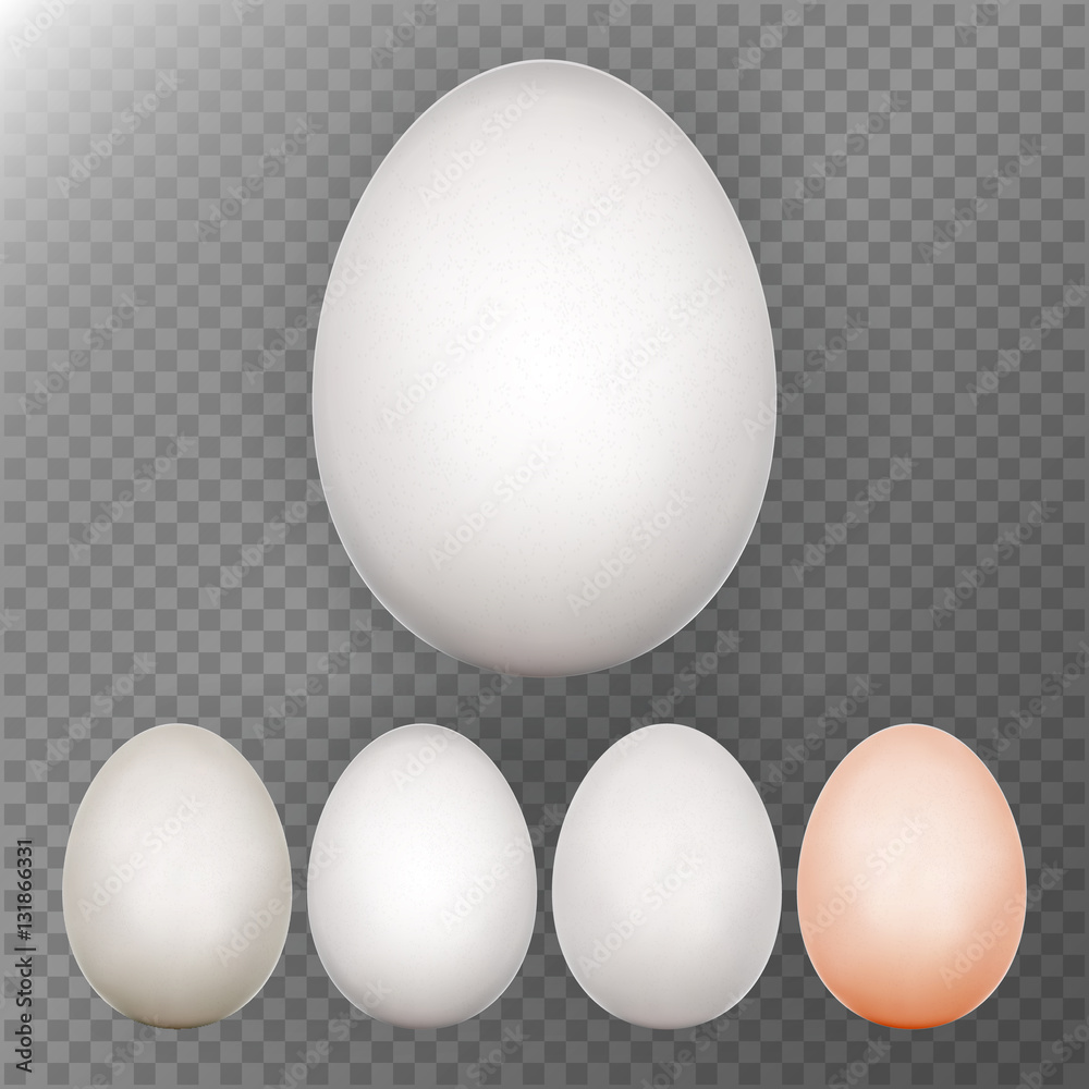 Chicken Egg Set. Transparent Background. Realistic Blank Of Natural Ecological Product. Healthy Food. Dietary . Easter Symbol. Template For Your Design. Vector Illustration Chicken Egg Set. Transparent Background. Realistic Blank Of Natural Ecological Product. Healthy Food. Dietary . Easter Symbol. Template For Your Design. Vector Illustration