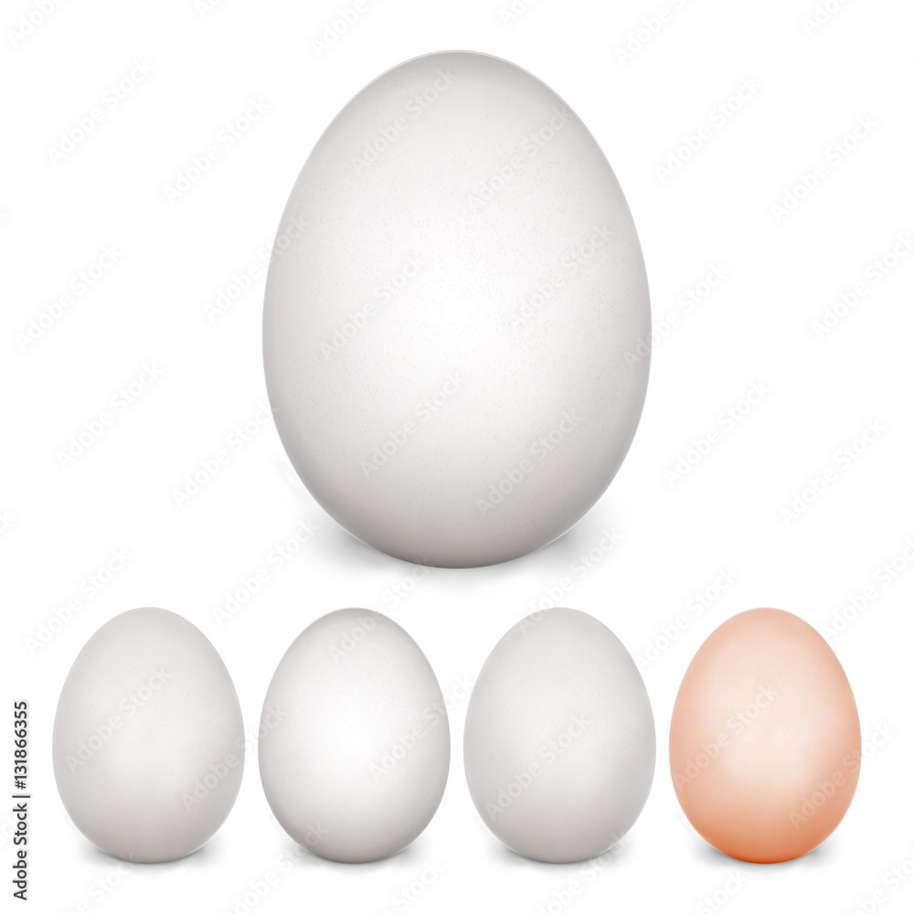 Chicken Egg Set. Isolated On White Background. Realistic Blank Of Natural Ecological Product. Healthy Food. Easter Symbol. Photo Template For Your Design. Vector Illustration Chicken Egg Set. Isolated On White Background. Realistic Blank Of Natural Ecological Product. Healthy Food. Easter Symbol. Photo Template For Your Design. Vector Illustration
