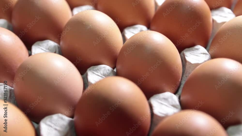 Eggs lie in the cardboard support Eggs lie in the cardboard support