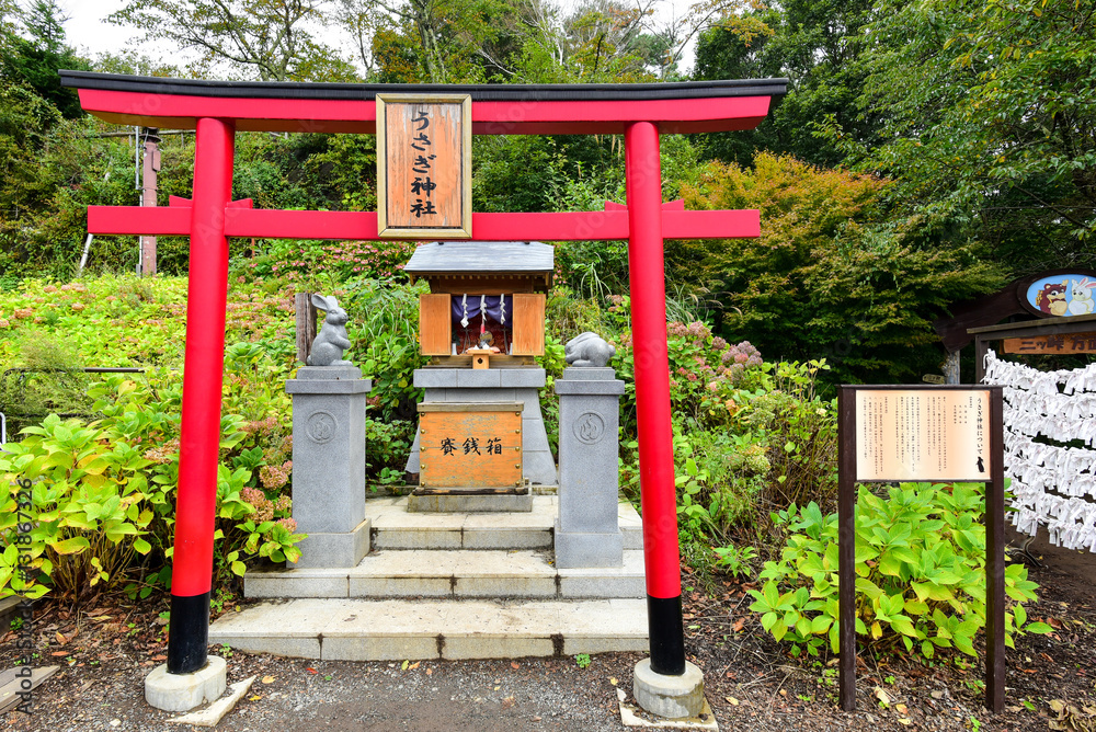 KAWAGUCHIKO, JAPAN - OCTOBER 09 : Usagi Shrine at kachi kachi ro - obrazy, fototapety, plakaty 