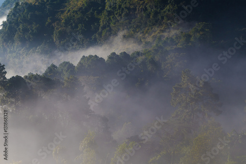 Nature landscape of geen tree mountains of Thailand