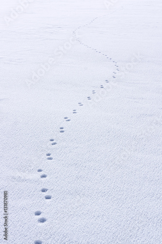 Line of man s footprints in the snow