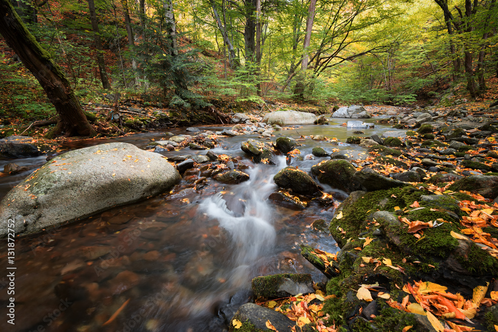 Stara reka Reserve in the autumn, Stara planina mountain, Bulgaria ...