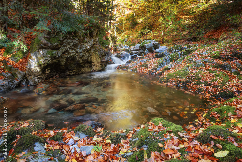 Stara reka Reserve in the autumn, Stara planina mountain, Bulgaria ...
