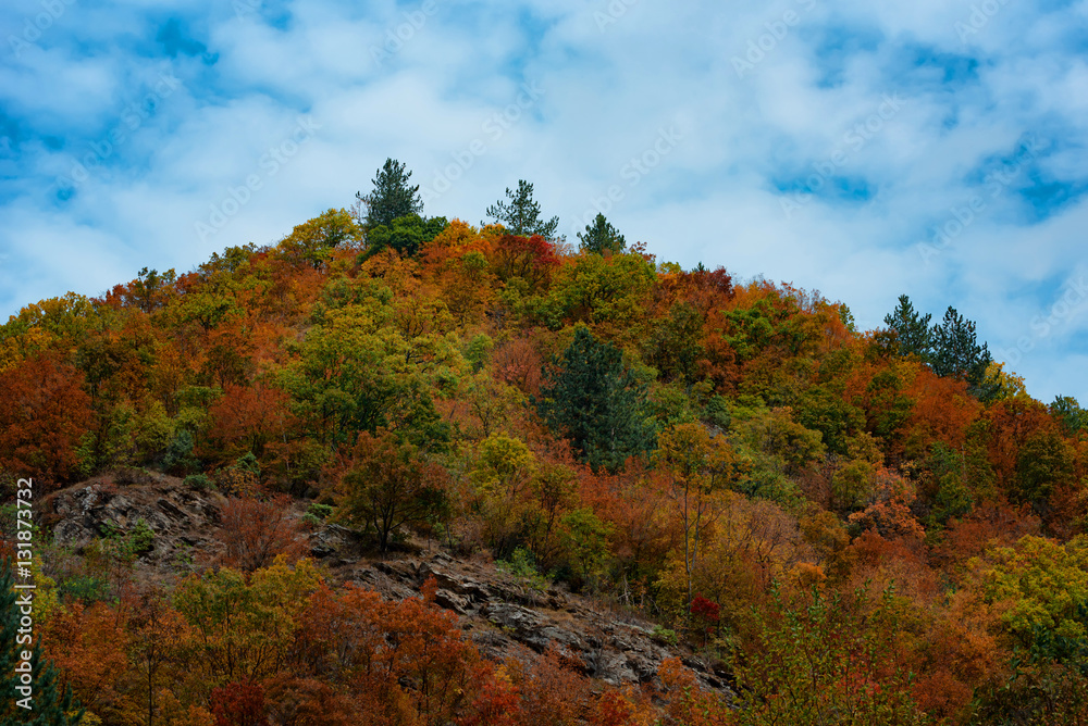 Magnificent autumn carpet in The Rhodope montains, Bulgaria