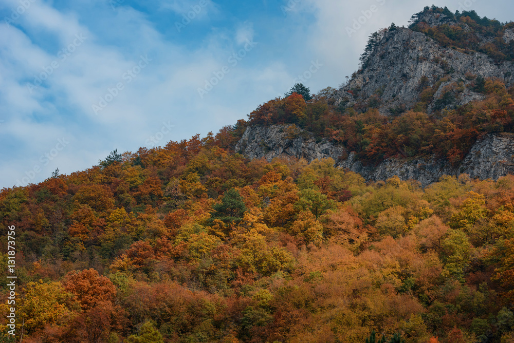 Magnificent autumn carpet in The Rhodope montains, Bulgaria Magnificent autumn carpet in The Rhodope montains, Bulgaria